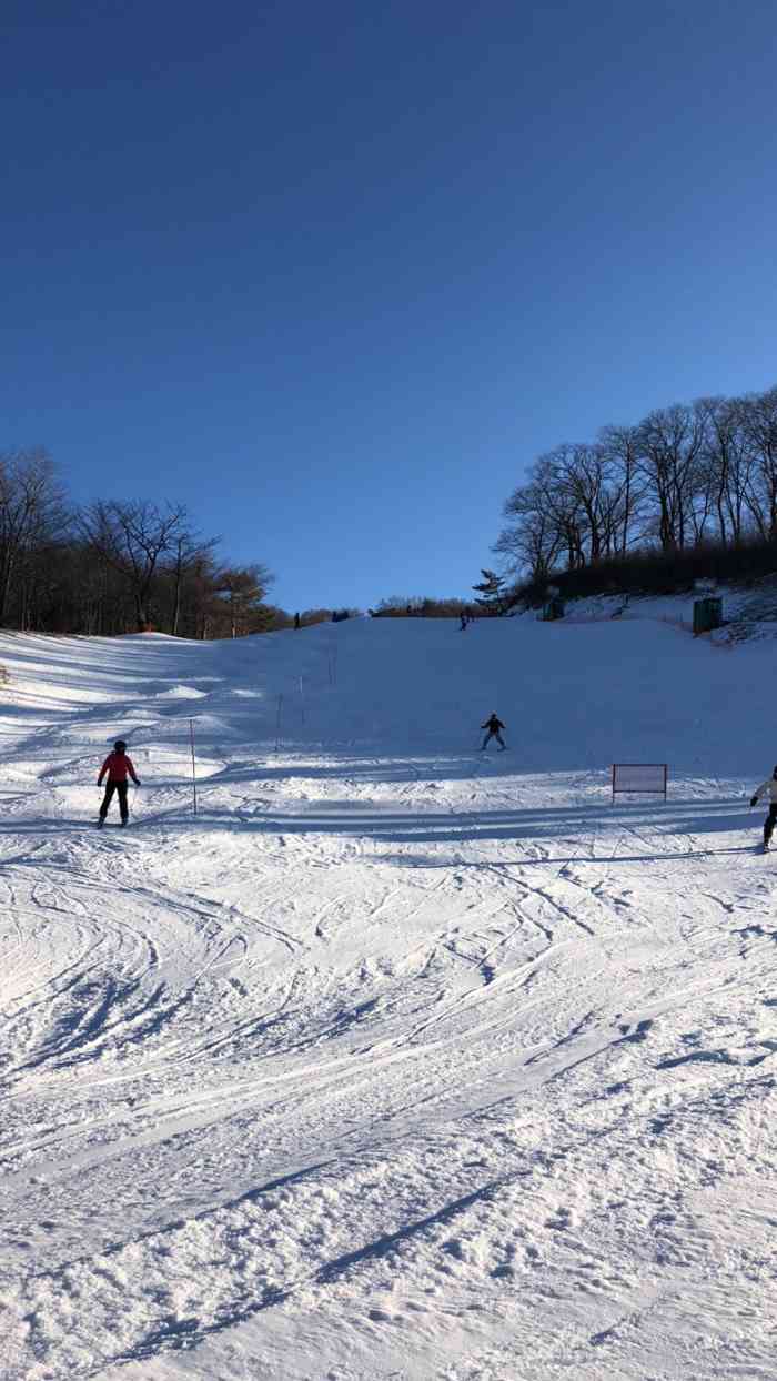 轻井泽snow park亲子滑雪场-"初级中级用的滑道比较多,有一个超上级