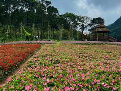 -广州市石门国家森林公园