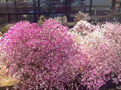 -L.C FLORA花予你(城西银泰城店)