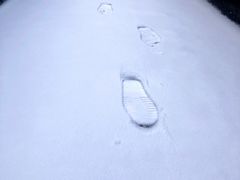-雾凇岛