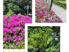 -西湖公园(鼓楼区)