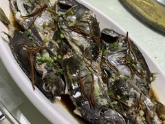 -强记海鲜·大排档(蛇口新街店)