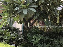 -厦门悦华酒店