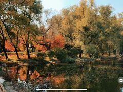 -长春市南湖公园