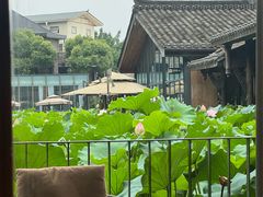 -三圣花乡旅游区