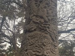 -沈阳市东陵公园
