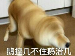 -南湖胖子砂锅(红庙店)