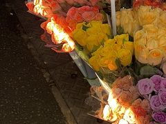 -循礼门鲜花花市(武汉循礼门店)