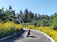 -长春公园(普阳街道)