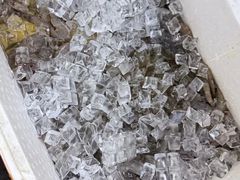 -桂园白粥·潮汕老味道
