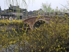 -水绘园