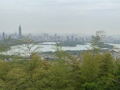 -紫金山山顶公园