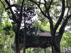 -汇龙潭