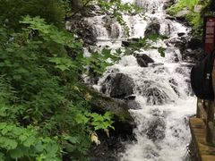 -凤凰山国家森林公园