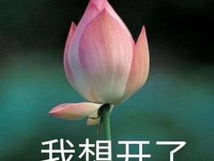 -蘸小院铁锅炖·蘸酱菜·东北菜(怀远门店)