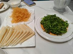 -丁老爷子苏香圆