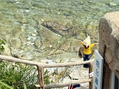 -养马岛旅游度假区