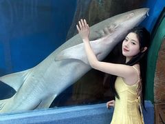 -合肥海洋世界