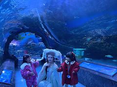 -海合安成都极地海洋公园