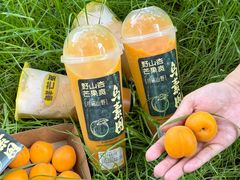 -鲜芒多·杨枝甘露(摩尔城A座10楼店)