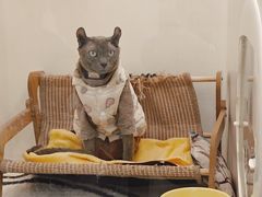 -拜鲁耶动物诊疗中心·宠家动物医院