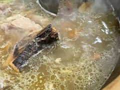 炭炉果鸡煲-威邵鸡煲(西华路总店)