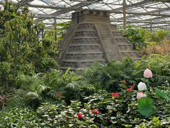 -南宫五洲植物乐园