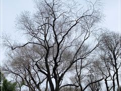-恭王府博物馆