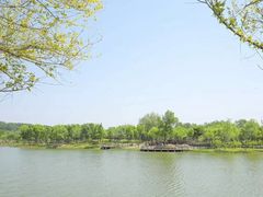-东郊湿地公园