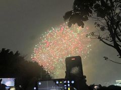 -广州白天鹅宾馆