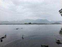 -大埔公路-马料水段香港中文大学(公交站)