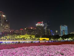 -海心沙亚运公园