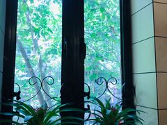 -红房子西菜馆(淮海中路店)