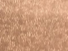 -金华悦国际酒店·金福大酒楼