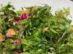 -同庆楼(滨湖万达广场店)