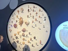 -海合安青岛极地海洋公园