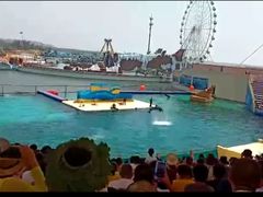 -秦皇岛乐岛海洋王国