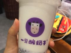 -一只酸奶牛(八一路店)