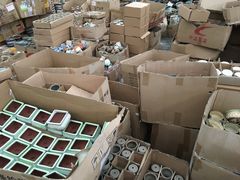 -龙大花卉苗木市场