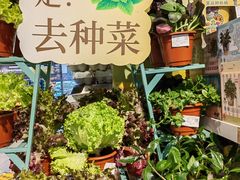 -Olé精品超市(北京合生汇店)
