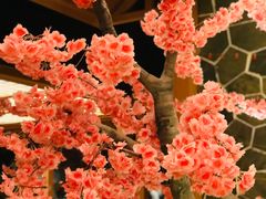 -蓝鲸湾汤泉(包河店)