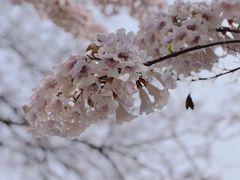 -红星桥(地铁站)