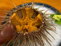 活海胆-千代武日本料理(开发区店)