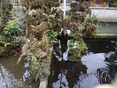 -源泉冷水鱼庄(小鱼洞店)