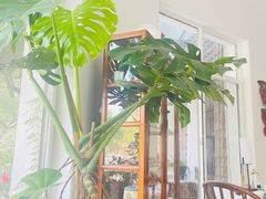 -花迹(富春江东街店)