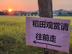 -低涌(地铁站)