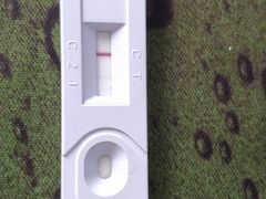 -宠福鑫动物医院·动物疾病诊疗中心(天通苑店)