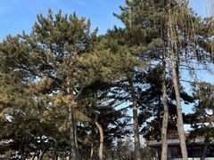 -长春市南湖公园