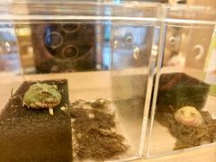-御海8号温泉酒店
