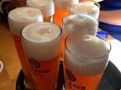 -Restaurant Paulaner am Dom